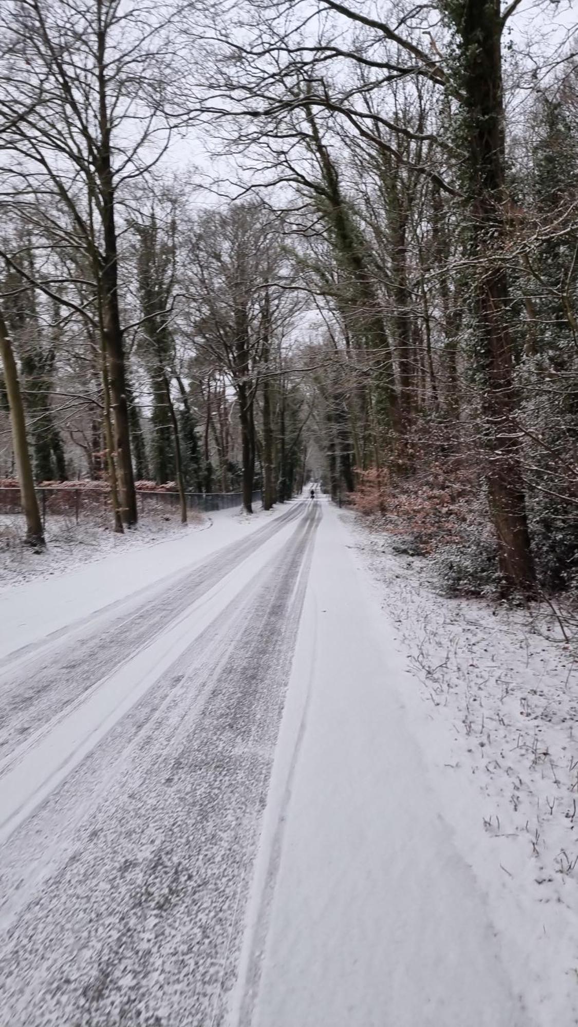 Logeren Bij Sabine En Jw Apartment Beekbergen Bagian luar foto